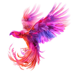 Obraz premium red and yellow feathers