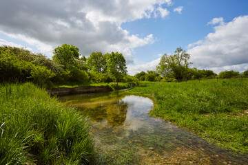 Naturschutzgebiet Pöppelsche Talsystem, Erwitte, Kreis Soest, NRW, Deutschland, 2023