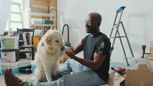 Cheerful Black man sitting on the floor and petting golden retriever dog in living room with ladder, boxes and paint buckets during home renovation. Zoom Shot