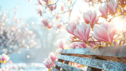 Gardinen Tranquil spring scene with a sunlit bench, radiant magnolia blossoms, and a backdrop of soft, dappled light, embodying the serene rebirth of nature. Copy space © KRISTINA KUPTSEVICH