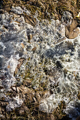 Spring ground covered with thawing snow