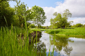 Naturschutzgebiet Pöppelsche Talsystem, Erwitte, Kreis Soest, NRW, Deutschland, 2023