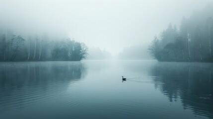 Minimalist landscape photography, capturing nature
