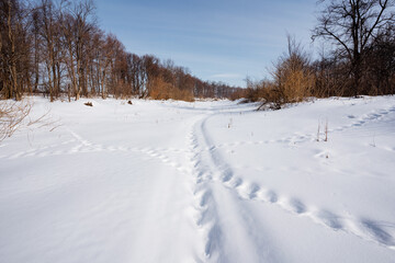 Fototapeta na wymiar Snowcovered road with tire tracks, trees in background under cloudy sky