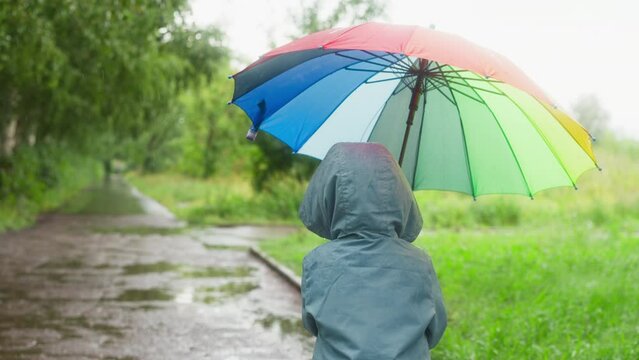 Kid wanders in rainy park with parasol