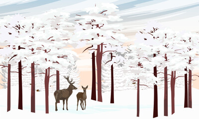 A pair of red deer walks through a winter forest with tall pines and snowdrifts. Wild animals in winter. Realistic vector landscape