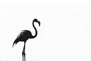 minimalist illustration of sleek, flamingo silhouetted against stark white background - obrazy, fototapety, plakaty