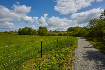 Obraz premium Naturschutzgebiet Pöppelsche Talsystem, Erwitte, Kreis Soest, NRW, Deutschland, 2023