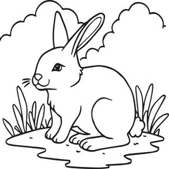 Domestic animals coloring pages. Domestic animals outline vector