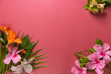 Composition made of meadow flowers and leaves on pink background. Flat lay. View from above