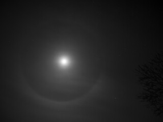 Cirrostratus - a circle around the moon is usually a harbinger of approaching rain, because it occurs at the top of a warm front. If it forms around the moon, it can start raining as early as morning.