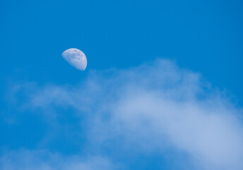 Beautiful moon in the sky. The Moon is a natural space body orbiting the Earth.