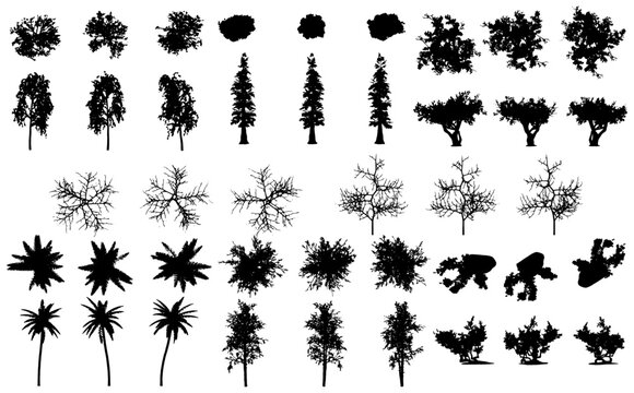 Set Of Silhouette Plant And trees Shapes - Flowers and Leaves Shapes Silhouette Vector EPS10	