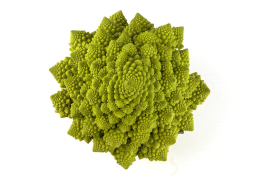 a biological example of Fibonacci spirals and fractals in nature using a Romanesco cauliflower