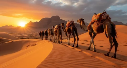 Foto op Plexiglas A group of camels are walking down a road in the desert © hakule