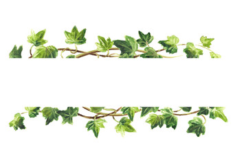 Ivy branch with green leaves  frame , Hand drawn watercolor illustration isolated on white background - obrazy, fototapety, plakaty