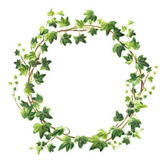 Ivy branch with leaves frame, wreath . Hand drawn watercolor illustration isolated on white background 