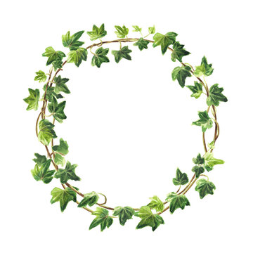 Ivy branch with leaves frame, wreath . Hand drawn watercolor illustration isolated on white background
