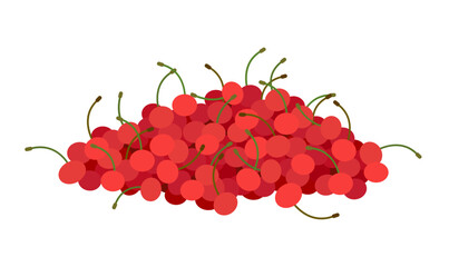 Fresh ripe cherries are lying in a pile. Red juicy cherry isolated on white backdrop.
Fresh delicious healthy and ripe cherries