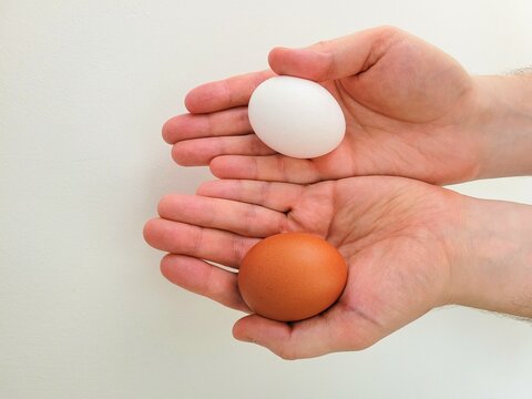 Two types of eggs on hands.