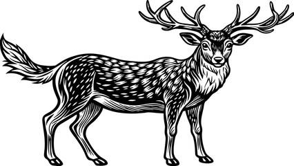silhouette of a deer vector illustration