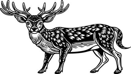 silhouette of a deer vector illustration