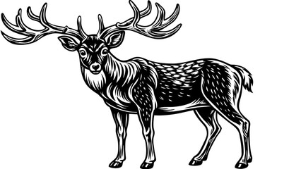 silhouette of a deer vector illustration