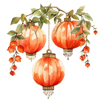 Chinese lantern with flower drawing illustration