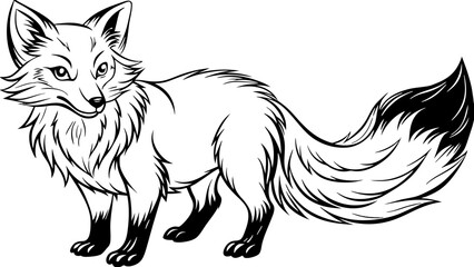 a fox vector illustration