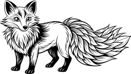 a fox vector illustration