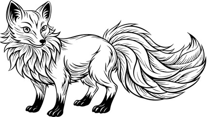 a fox vector illustration