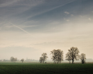 Fototapeta premium sunset in the field