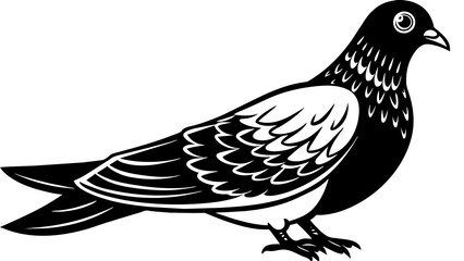 Birds and svg file