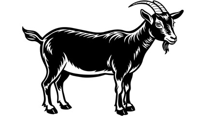 Animals and svg file