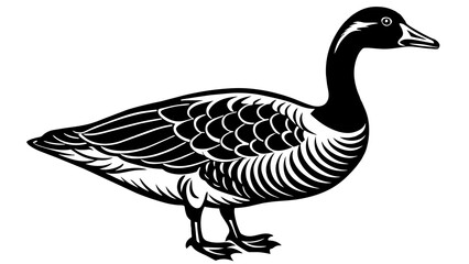 Birds and svg file