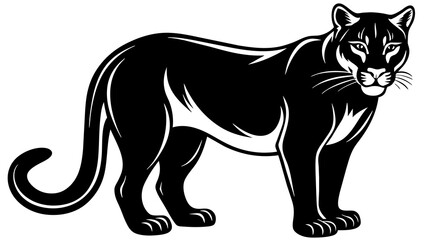 Animals and svg file