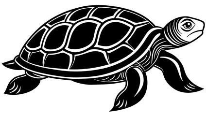 Animals and svg file