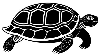 Animals and svg file