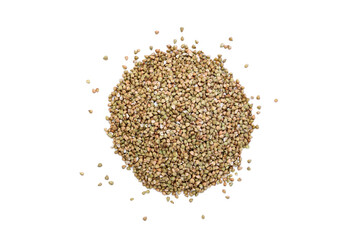 Green buckwheat isolated on white background.