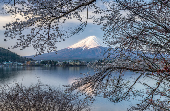 Mount Fuji in spring seen from Lake Kawaguchi, Yamanashi Prefecture, Japan