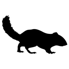squirrel icon, simple vector design