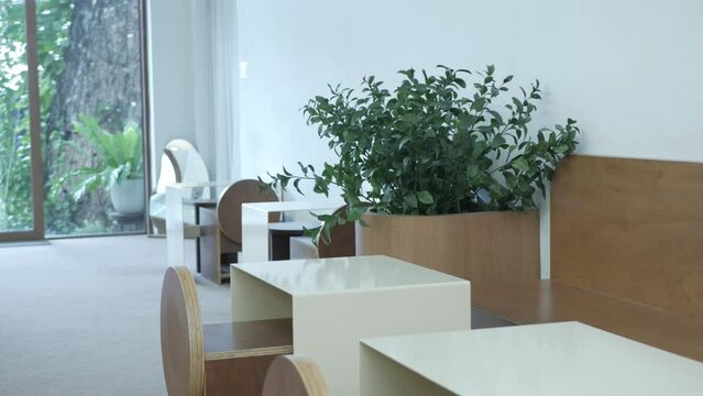 interior view inside unknown empty minimal design cafe without any people in white color design