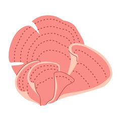 Vase coral. plating montipora. Corals colonies. Tropical waters fauna. Hand drawn exotic coral reef underwater nature life. flat style isoated on white background