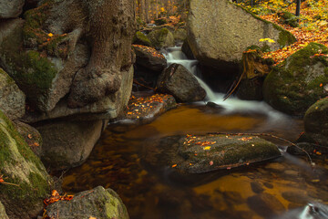 Górski potok Podgórna (Przesieka) jesienią w otoczeniu lasu w górach Karkonosze - obrazy, fototapety, plakaty