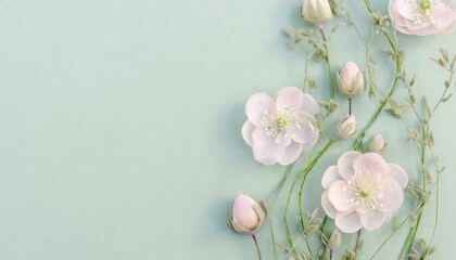 Fototapeta na wymiar Soft pastel floral flat lay background, Beautiful pretty and calming flower backdrop with room for copy.