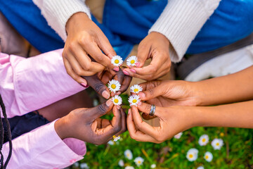 Top view of women holding flowers joining hands