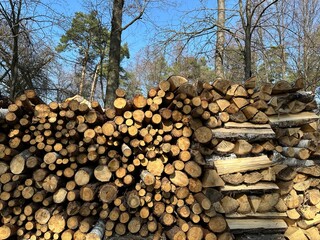 A pile of firewood is stacked. Cut down trees lie in one heap. Material for fire and heating. Birch and oak firewood, lumber.