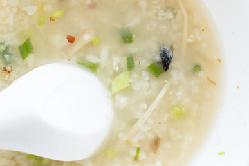 House fly, food contamination hygiene concept.The flies in boiled rice are insect carriers of diarrhea.Dirty food.