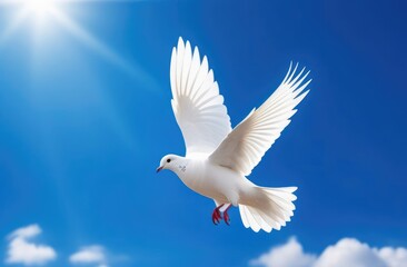 White wedding doves in a blue sky