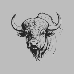 Vector drawing of a detailed buffalo in line art.